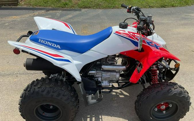 2026 Honda TRX 250X