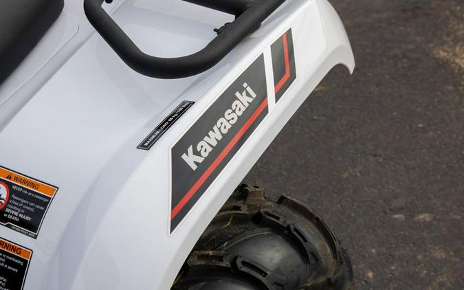 New 2025 KAWASAKI BRUTE FORCE 450 4X4