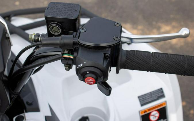 New 2025 KAWASAKI BRUTE FORCE 450 4X4