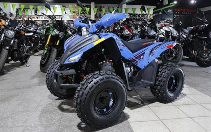 2026 Denago Powersports Trailhawk 10FI