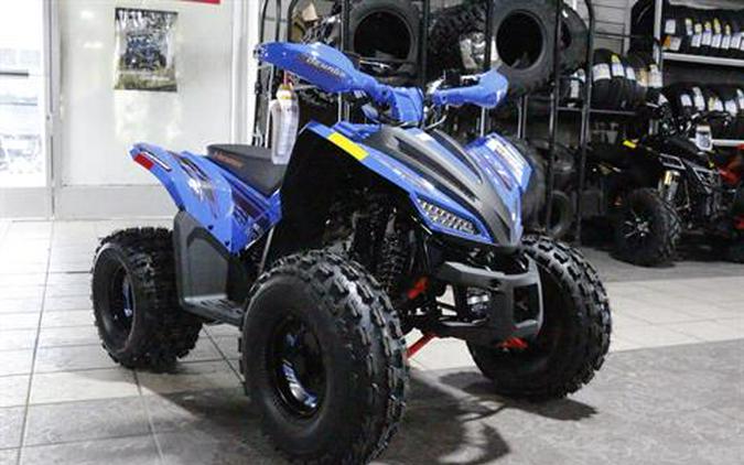 2026 Denago Powersports Trailhawk 10FI