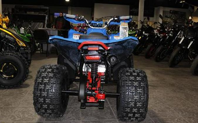 2026 Denago Powersports Trailhawk 10FI