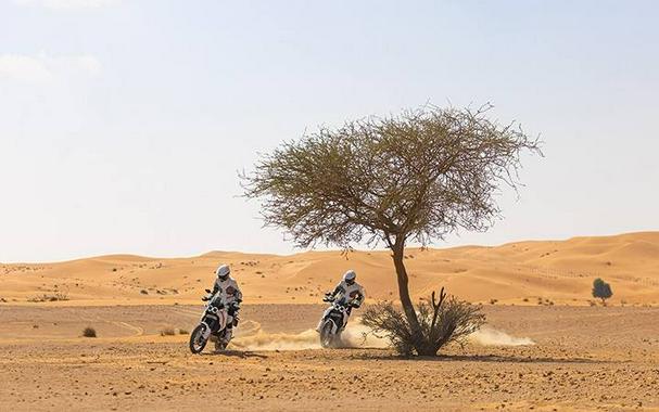 2023 Ducati DesertX 937