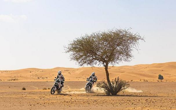 2023 Ducati DesertX 937