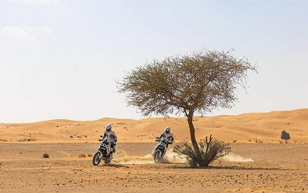 2023 Ducati DesertX 937