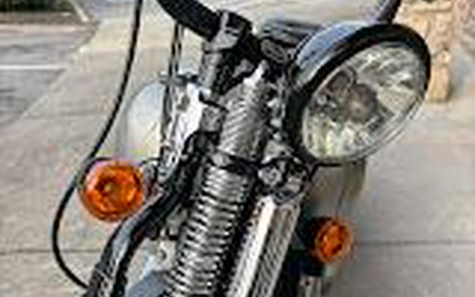 2009 Harley-Davidson CROSS BONES