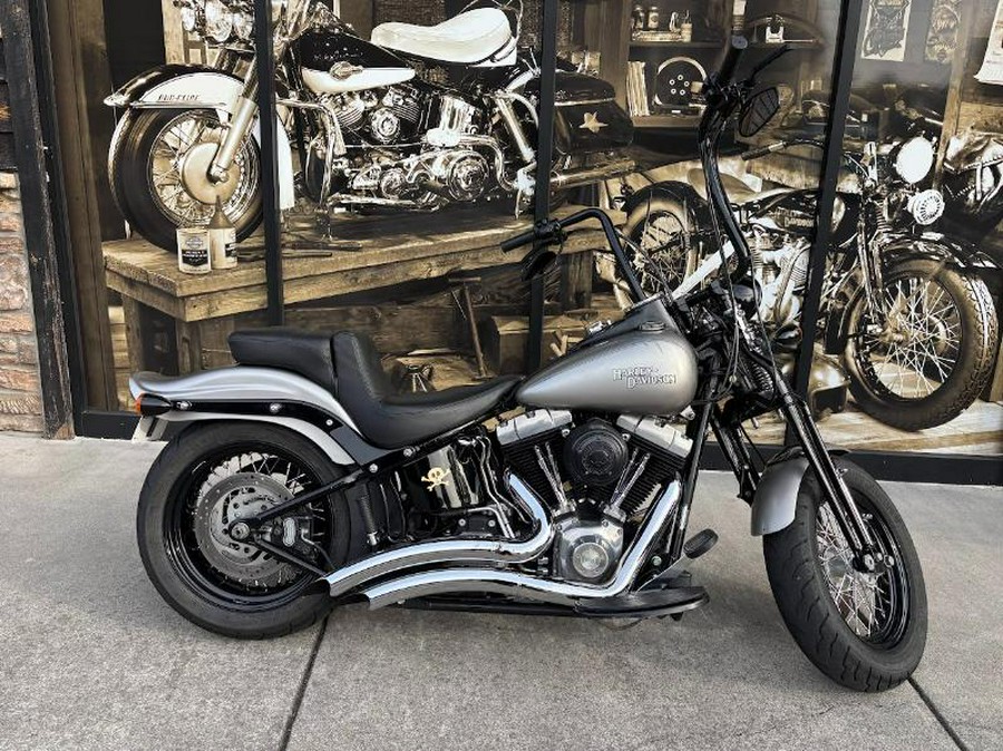 2009 Harley-Davidson CROSS BONES