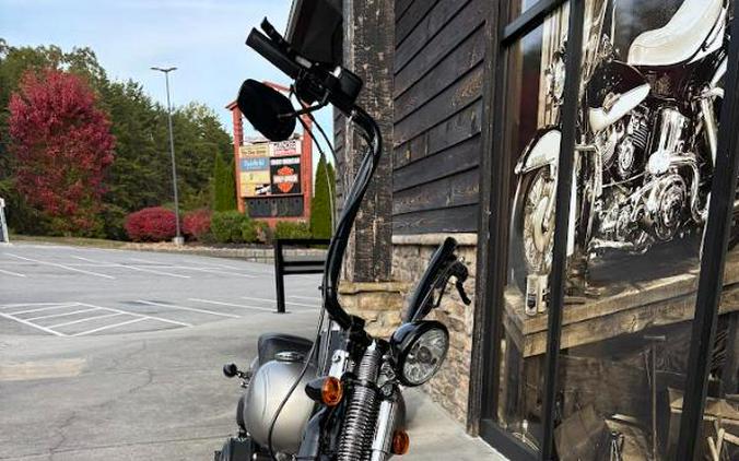 2009 Harley-Davidson CROSS BONES