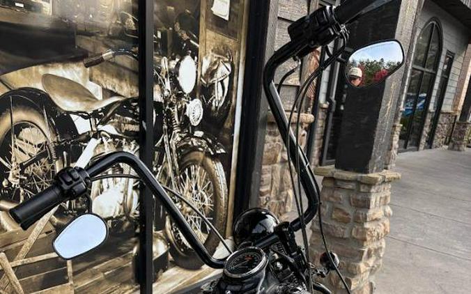 2009 Harley-Davidson CROSS BONES