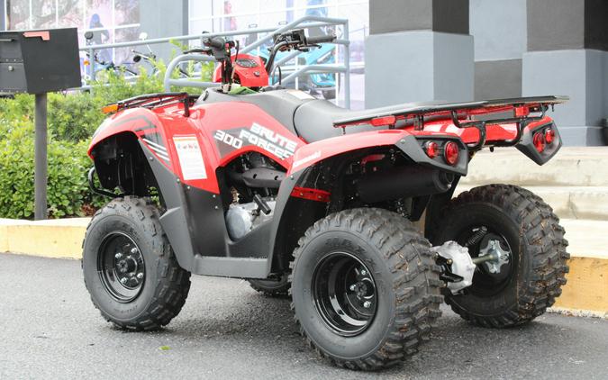 2024 Kawasaki BRUTE FORCE 300 / KVF300CRFNN