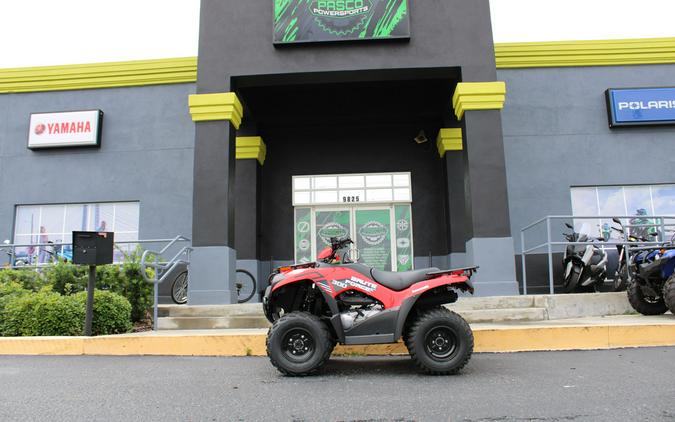 2024 Kawasaki BRUTE FORCE 300 / KVF300CRFNN