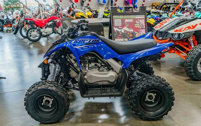 2026 Yamaha Raptor 110