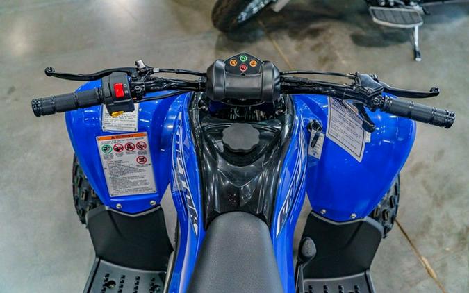 2026 Yamaha Raptor 110