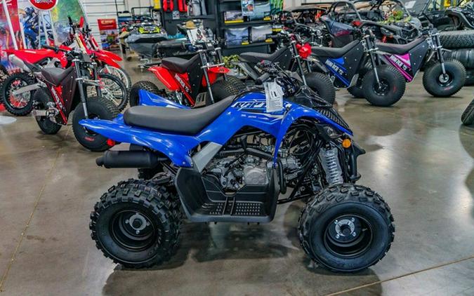 2026 Yamaha Raptor 110