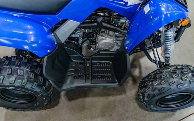 2026 Yamaha Raptor 110