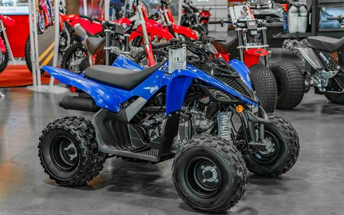 2026 Yamaha Raptor 110