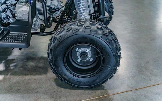 2026 Yamaha Raptor 110