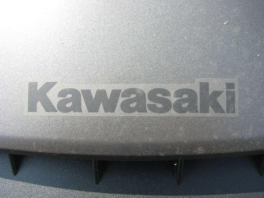 2024 Kawasaki Teryx KRX®4 1000 SE eS