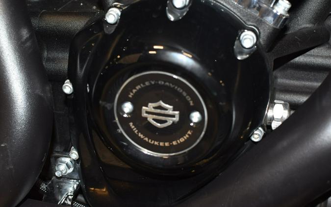 2024 Harley-Davidson Freewheeler