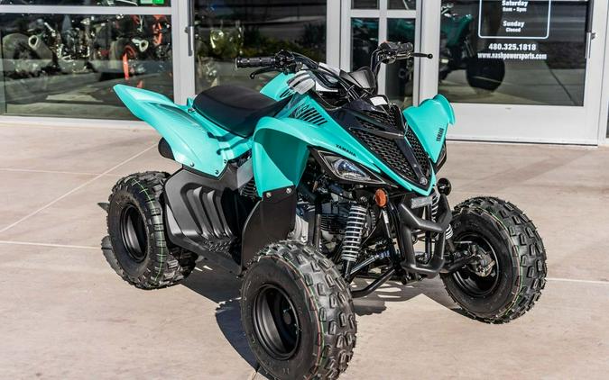 2024 Yamaha Raptor 110