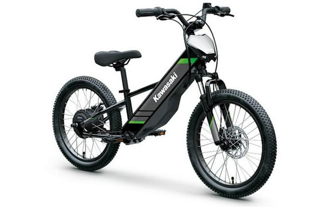 2025 Kawasaki Elektrode 20