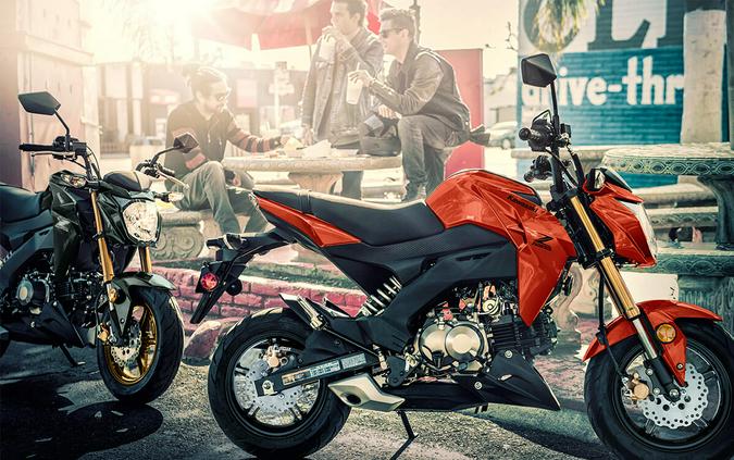 2025 Kawasaki Z125 PRO