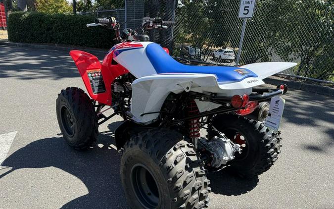 2026 Honda TRX 250X