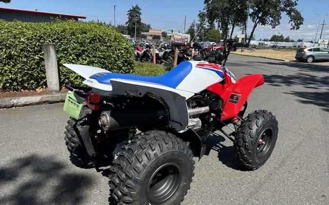 2026 Honda TRX 250X
