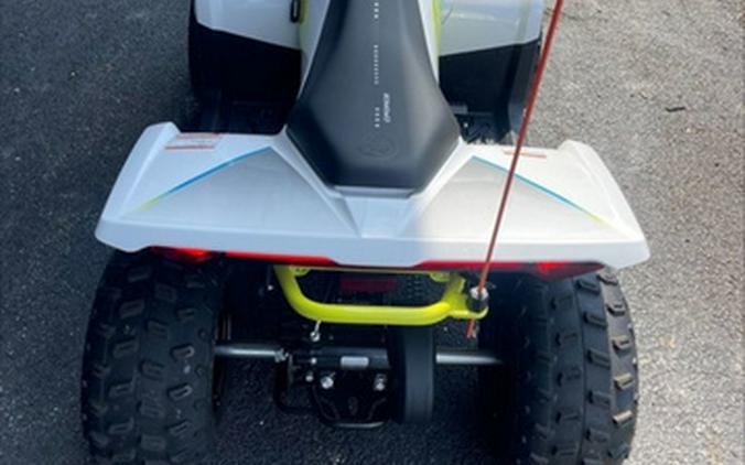 2024 CFMOTO CFORCE EV110