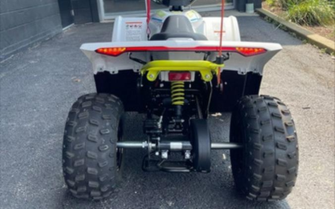 2024 CFMOTO CFORCE EV110