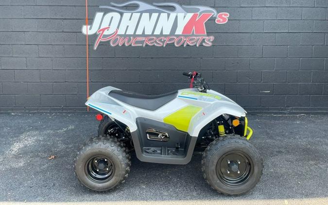 2024 CFMOTO CFORCE EV110