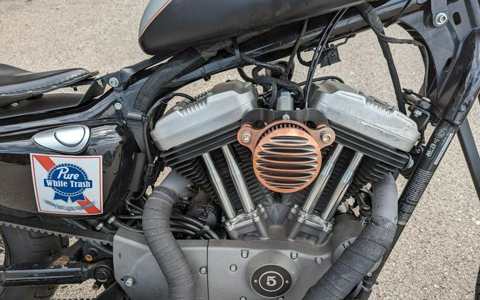 2009 Harley-Davidson Sportster® 1200 Nightster®