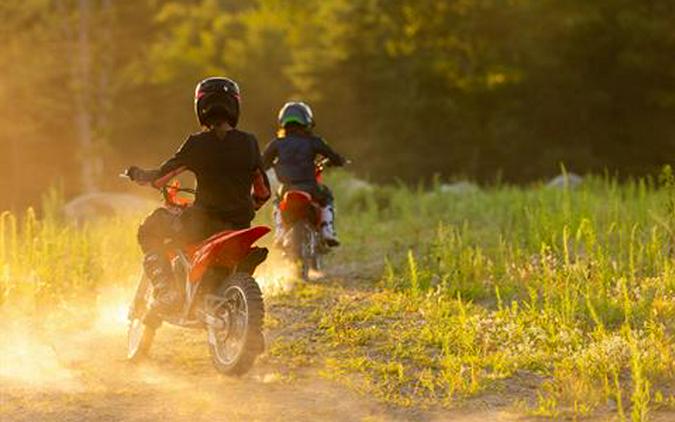 2027 Honda CRF125F - Big Wheel