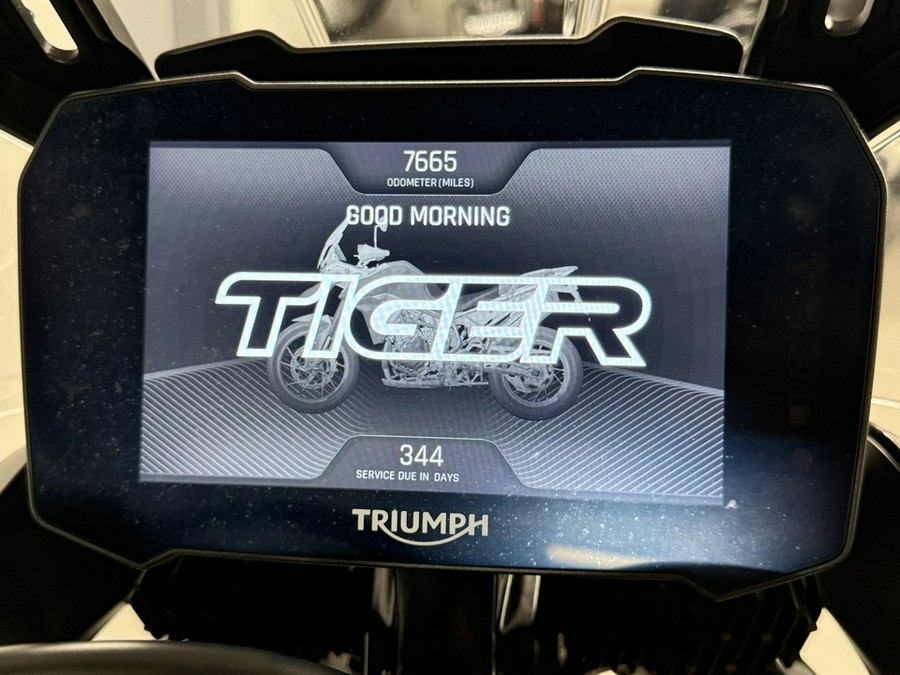 2020 Triumph Tiger 900 Rally