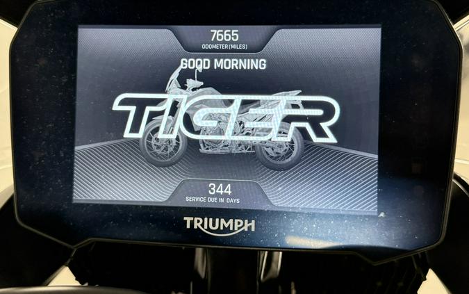 2020 Triumph Tiger 900 Rally