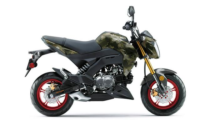 2025 Kawasaki Z125 PRO