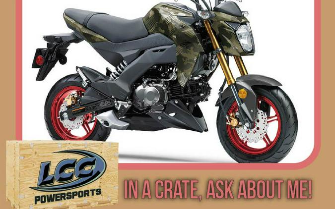 2025 Kawasaki Z125 PRO