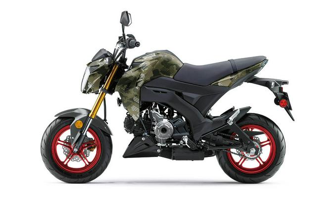 2025 Kawasaki Z125 PRO