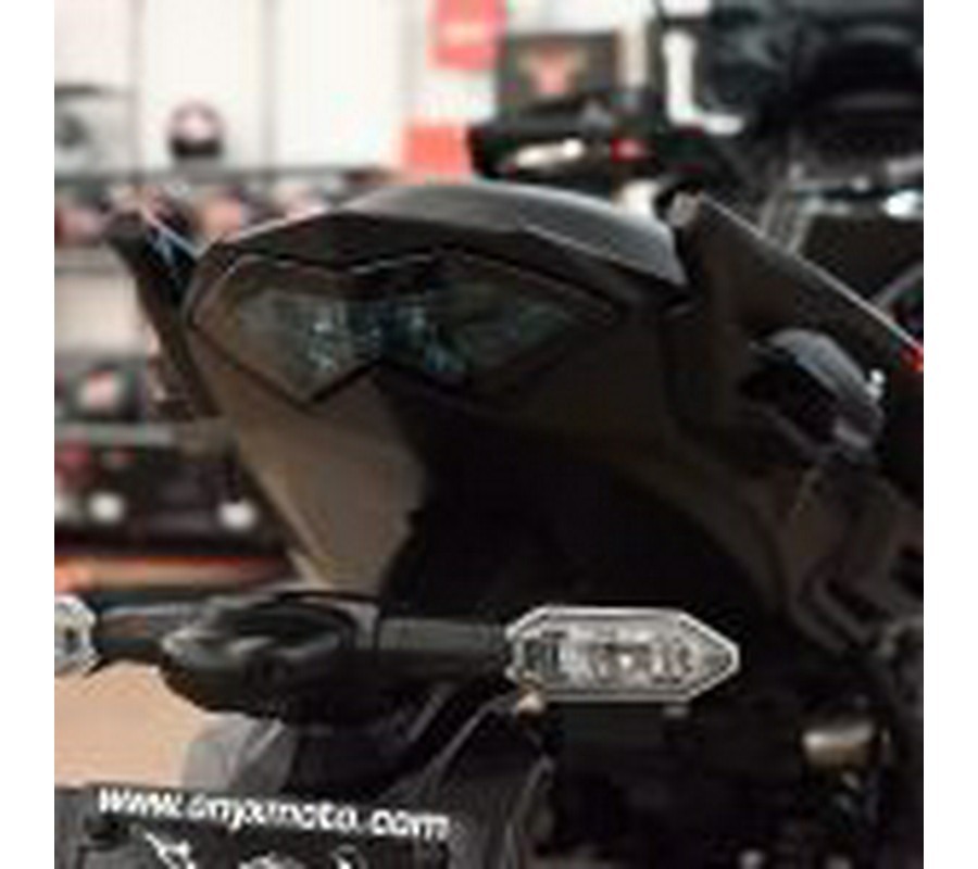 2024 Kawasaki Versys 650 LT