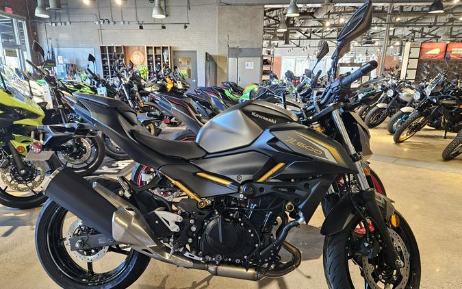 2026 Kawasaki Z500 ABS