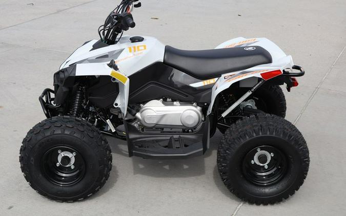 2027 Can-Am Renegade 110 EFI