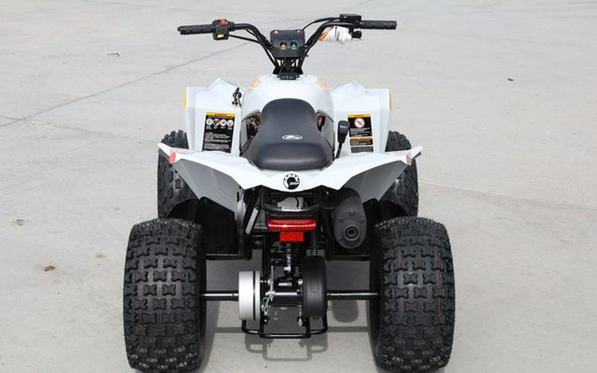 2027 Can-Am Renegade 110 EFI