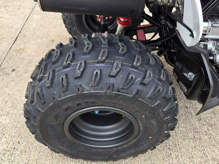 2026 Honda TRX® 250X