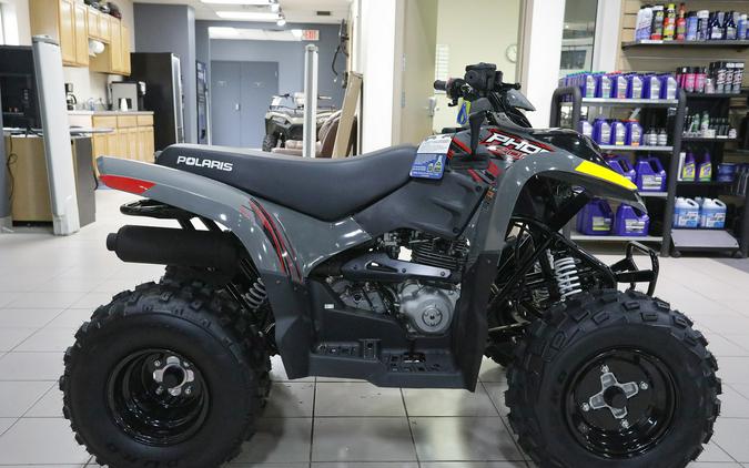 2024 Polaris Industries Phoenix 200