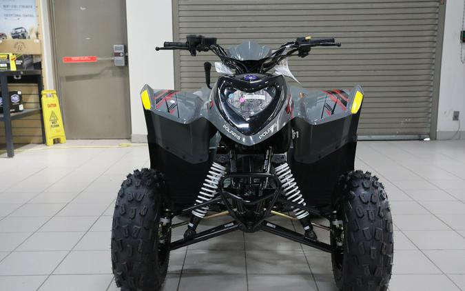 2024 Polaris Industries Phoenix 200