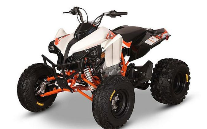 2027 Kayo Storm 300 EFI