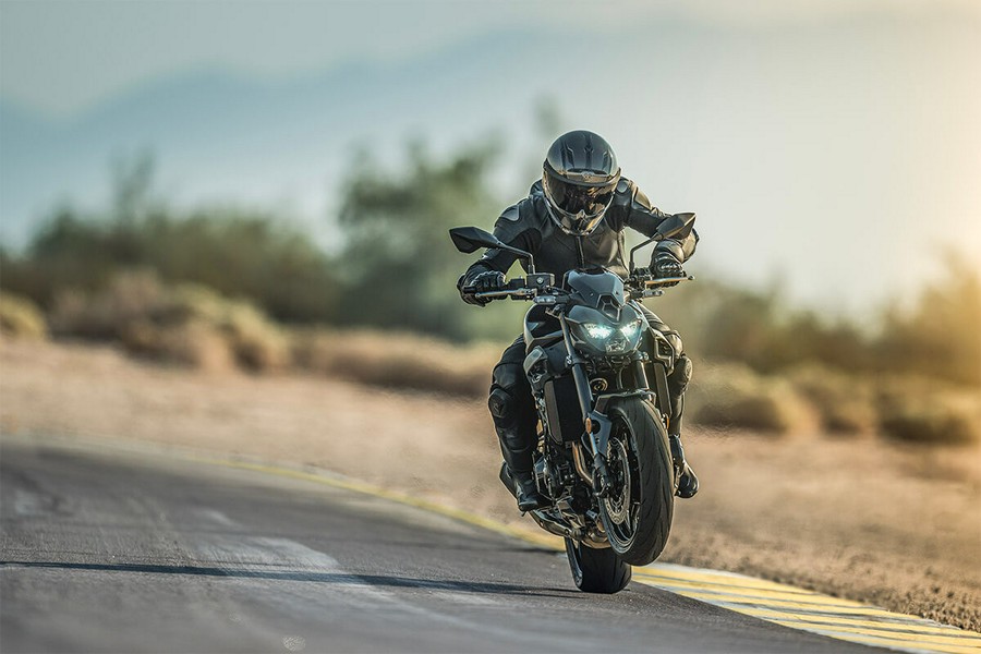 2025 Kawasaki Z900 ABS