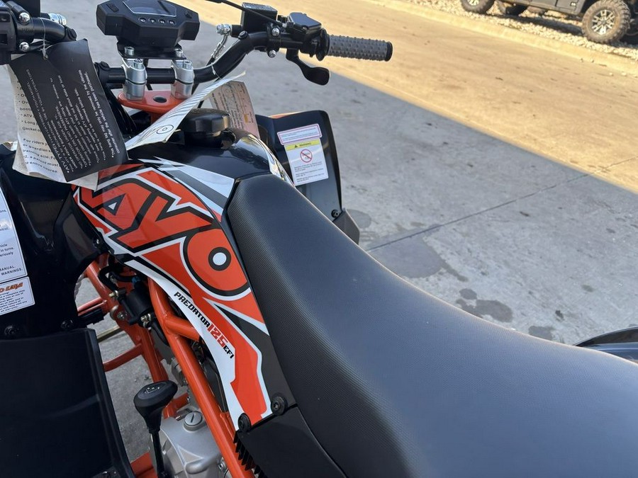 2025 Kayo Bull 300 EFI