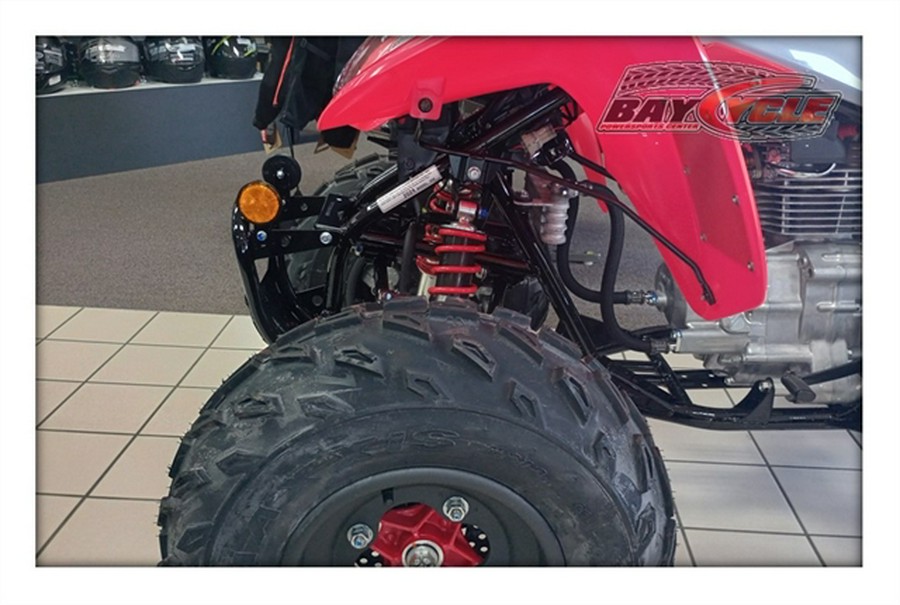 2024 Honda TRX250X