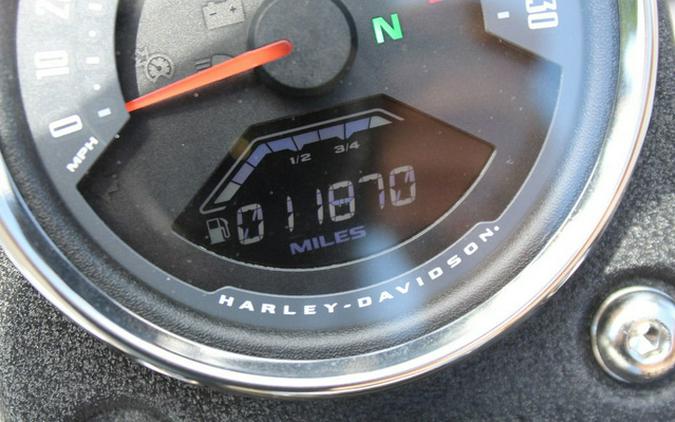 2020 Harley-Davidson Softail FXLRS - Low Rider S